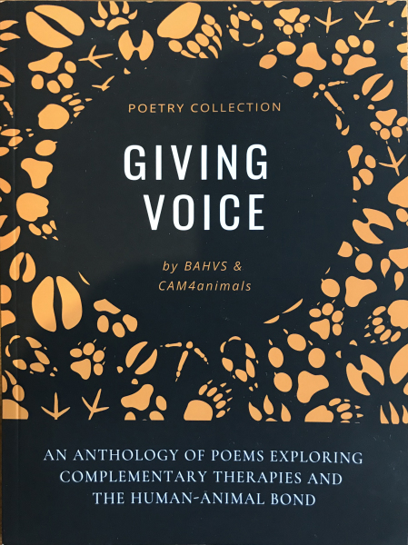 Giving Voice by Ilse Pedler