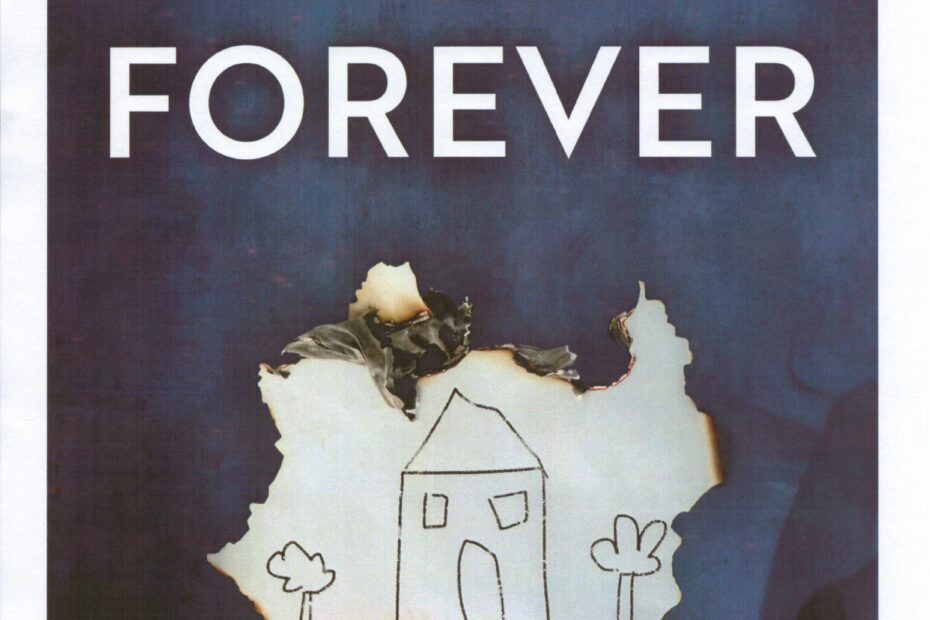 Not Forever by Alex Mellanby