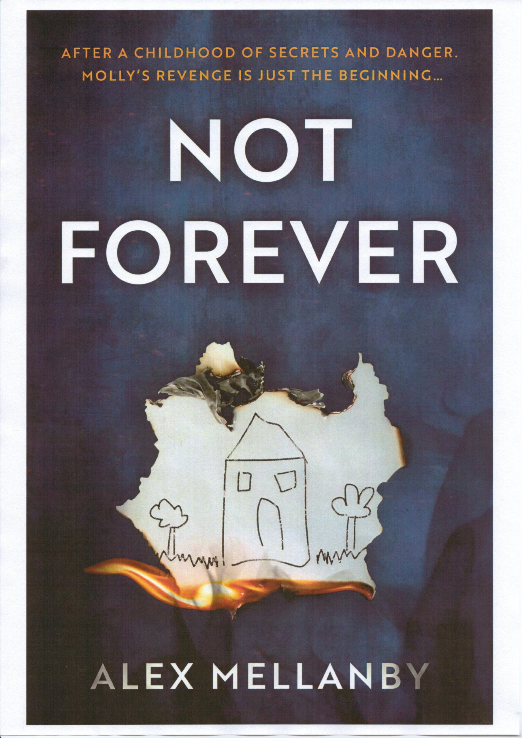 Not Forever by Alex Mellanby